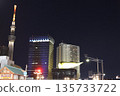 Lighted Sky Tree 135733722