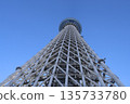 Sky tree looking up from below 135733780