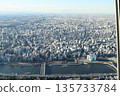 The view from the sky tree 135733784