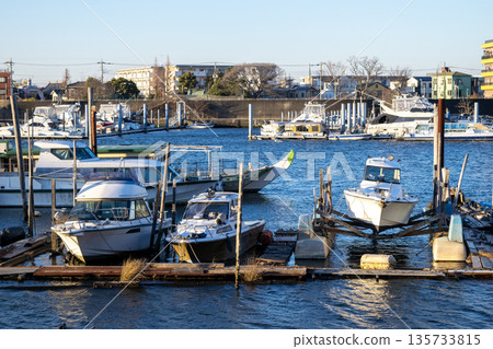 河上停泊的船隻和河岸邊的城市景觀 135733815