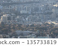 Ueno Forest as seen from Skytree 135733819