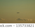 Airplane flying in the twilight sky 135733821