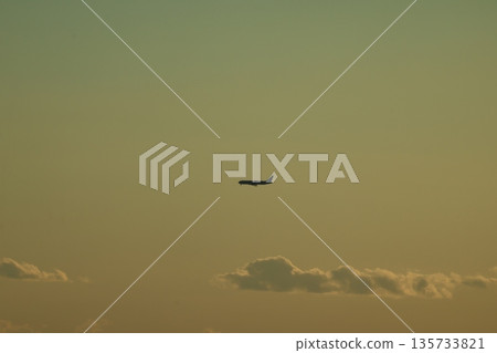 飛機在暮光之城飛行 飛機在暮光之城飛行 135733821