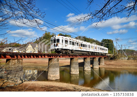 Tama Train (Kishigawa Line) running through Oike Amusement Park [Kinokawa City, Wakayama Prefecture] 135733838