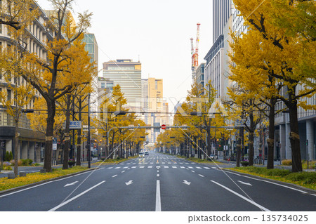 Autumn in Osaka: Rows of ginkgo trees with yellow leaves on Midosuji Street 135734025