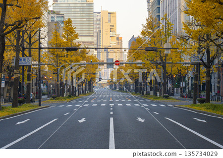 大阪的秋天：禦堂筋街上一排排黃葉的銀杏樹 135734029