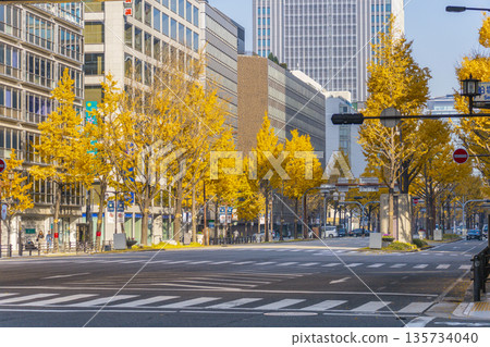 大阪的秋天：禦堂筋街上一排排黃葉的銀杏樹 135734040