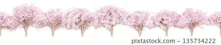 櫻花樹 - 無盡櫻花系列 - 請將它們連接起來，用作背景等。 135734222