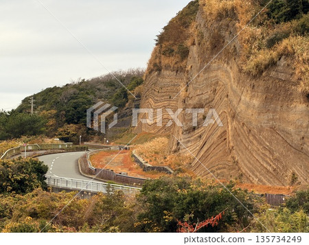 伊豆大島道路沿線露出的褶皺地層橫切面 135734249