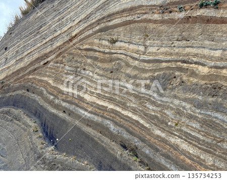 Cross section of folded strata exposed along a road on Izu Oshima Island Cross section of folded strata exposed along a road on Izu Oshima Island 135734253