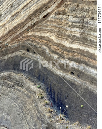 Cross section of folded strata exposed along a road on Izu Oshima Island Cross section of folded strata exposed along a road on Izu Oshima Island 135734254