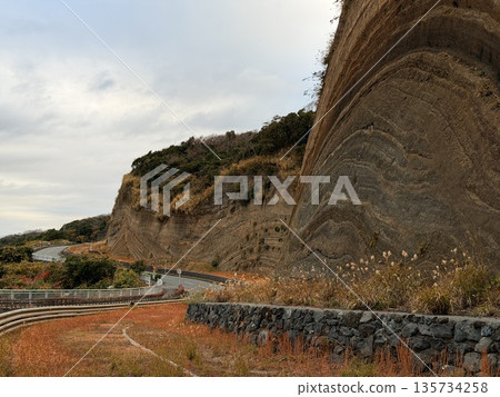 伊豆大島道路沿線露出的褶皺地層橫切面 135734258