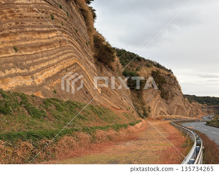 Cross section of folded strata exposed along a road on Izu Oshima Island Cross section of folded strata exposed along a road on Izu Oshima Island 135734265