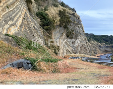 Cross section of folded strata exposed along a road on Izu Oshima Island Cross section of folded strata exposed along a road on Izu Oshima Island 135734267