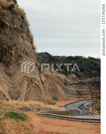 伊豆大島道路沿線露出的褶皺地層橫切面 135734268