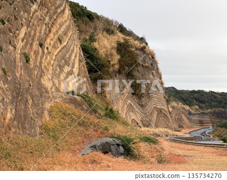 Cross section of folded strata exposed along a road on Izu Oshima Island Cross section of folded strata exposed along a road on Izu Oshima Island 135734270