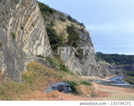 Cross section of folded strata exposed along a road on Izu Oshima Island Cross section of folded strata exposed along a road on Izu Oshima Island 135734271