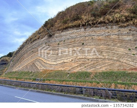 Cross section of folded strata exposed along a road on Izu Oshima Island 135734282
