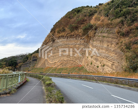 Cross section of folded strata exposed along a road on Izu Oshima Island Cross section of folded strata exposed along a road on Izu Oshima Island 135734286