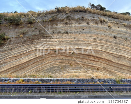 伊豆大島道路沿線露出的褶皺地層橫切面 135734287