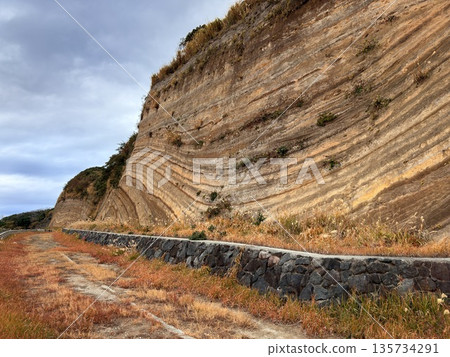 Cross section of folded strata exposed along a road on Izu Oshima Island 135734291