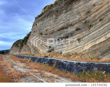 伊豆大島道路沿線露出的褶皺地層橫切面 伊豆大島道路沿線露出的褶皺地層橫切面 135734292