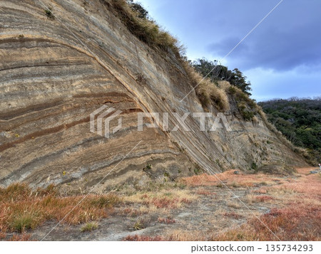 伊豆大島道路沿線露出的褶皺地層橫切面 135734293
