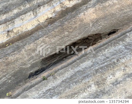 伊豆大島道路沿線露出的褶皺地層橫切面 伊豆大島道路沿線露出的褶皺地層橫切面 135734294