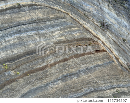 Cross section of folded strata exposed along a road on Izu Oshima Island Cross section of folded strata exposed along a road on Izu Oshima Island 135734297