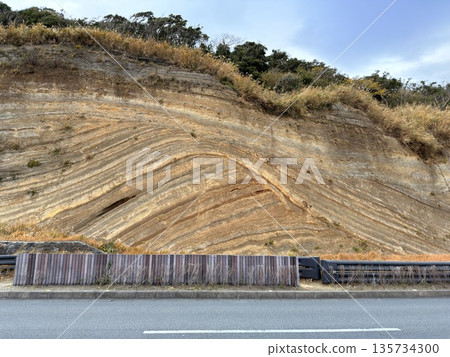伊豆大島道路沿線露出的褶皺地層橫切面 伊豆大島道路沿線露出的褶皺地層橫切面 135734300