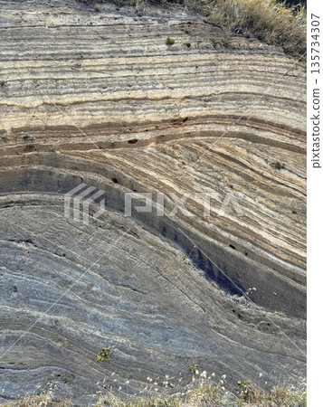 Cross section of folded strata exposed along a road on Izu Oshima Island Cross section of folded strata exposed along a road on Izu Oshima Island 135734307