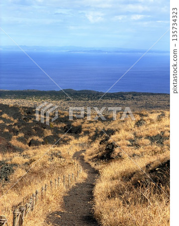 A view of the crater with steam seen while trekking on Mount Mihara, Izu Oshima 135734323