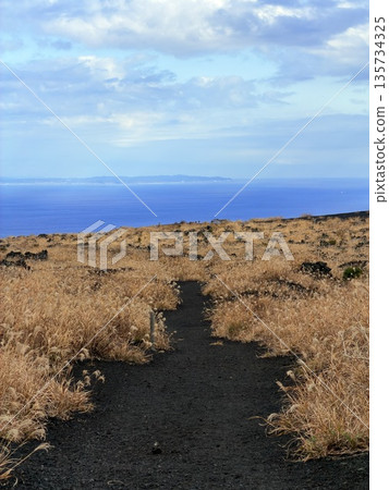 在伊豆大島三原山健行時看到的火山口蒸氣景象 在伊豆大島三原山健行時看到的火山口蒸氣景象 135734325
