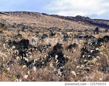 在伊豆大島三原山健行時看到的火山口蒸氣景象 135734331