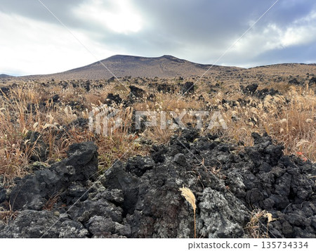 A view of the crater with steam seen while trekking on Mount Mihara, Izu Oshima 135734334