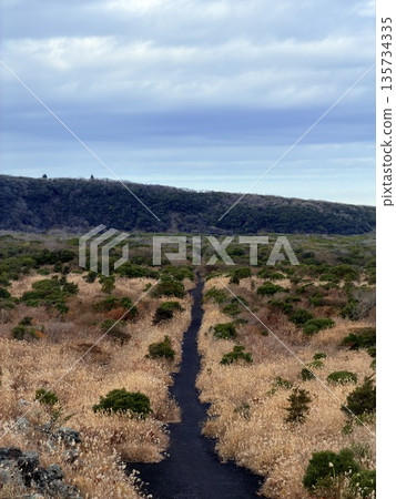 A view of the crater with steam seen while trekking on Mount Mihara, Izu Oshima 135734335