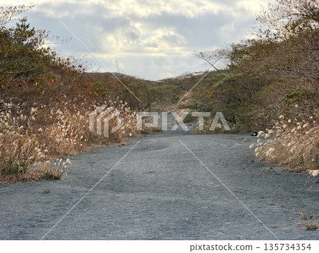 在伊豆大島三原山健行時看到的火山口蒸氣景象 在伊豆大島三原山健行時看到的火山口蒸氣景象 135734354