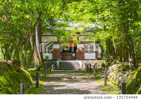 京都地藏院正殿,周圍綠意盎然 京都地藏院正殿,周圍綠意盎然 135734494
