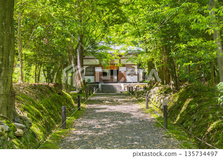 京都地藏院正殿,周圍綠意盎然 京都地藏院正殿,周圍綠意盎然 135734497