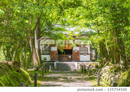 京都地藏院正殿，周圍綠意盎然 135734500