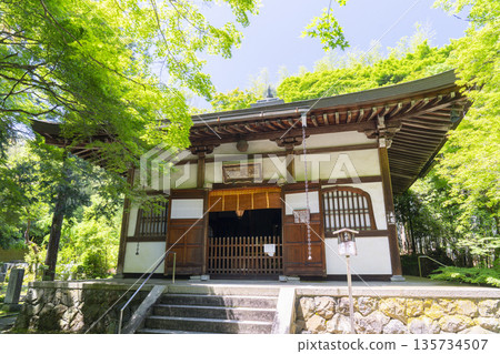 Kyoto: Jizo-in Temple (Takedera Temple) Main Hall surrounded by fresh greenery 135734507