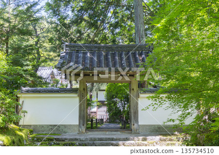 京都,地藏院(竹寺)中文,周圍綠意盎然 京都,地藏院(竹寺)中文,周圍綠意盎然 135734510