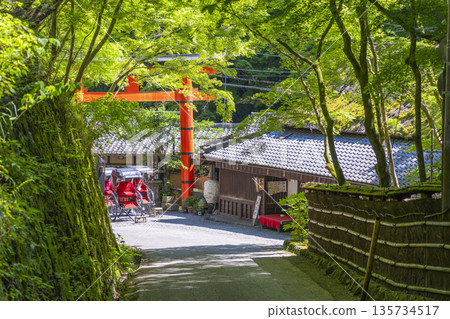 佐賀鳥居 書 愛宕神社第一鳥居 佐賀鳥居 書 愛宕神社第一鳥居 135734517