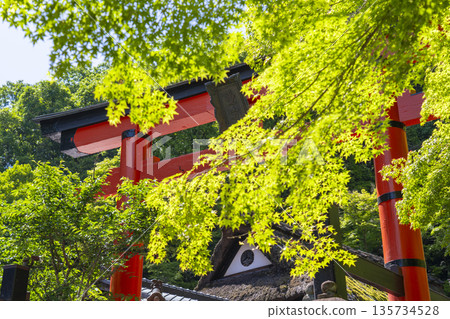 佐賀鳥居 書 愛宕神社第一鳥居 135734528