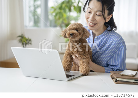 A woman in her fifties working on a laptop and a toy poodle: working from home image 135734572