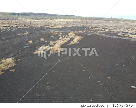 伊豆大島三原山浦沙漠的火山荒野 伊豆大島三原山浦沙漠的火山荒野 135734579