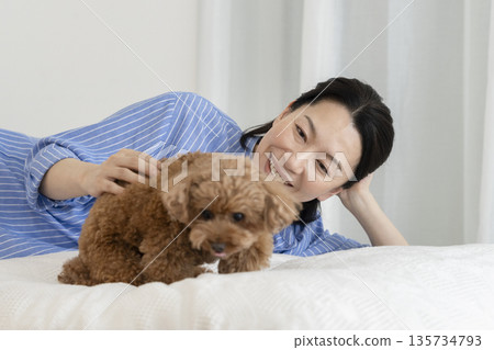 A middle-aged woman lying on the bed and stroking her pet dog (a 5-year-old male toy poodle) A middle-aged woman lying on the bed and stroking her pet dog (a 5-year-old male toy poodle) 135734793