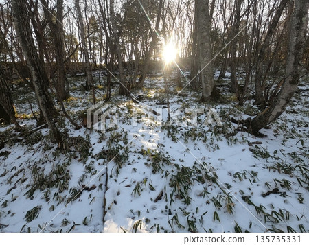 Trail  135735331