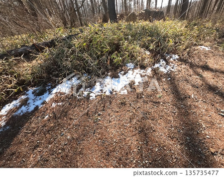 小徑 小徑 135735477