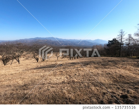 Trail  135735516